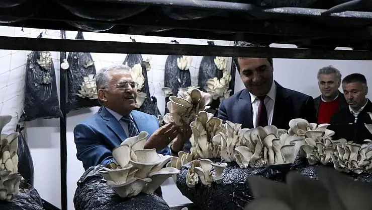 Kayseri istiridye mantarının üretim merkezi olacak