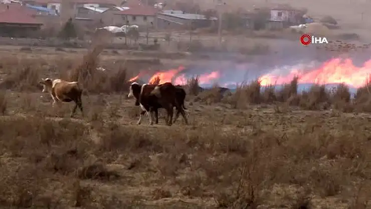 KAYSERİ-SİVAS KARAYOLU YAKINLARINDA SAZLIK ALANDA YANGIN ÇIKTI