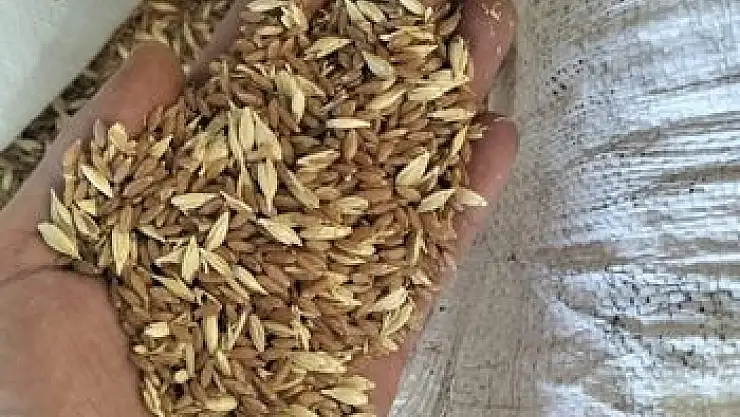 KAYSERİ'NİN ATALIK HAZİNESİ: GACER UNU