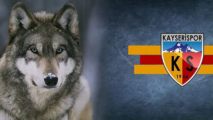 Kayserispor'un sembolü 'kurt' oldu