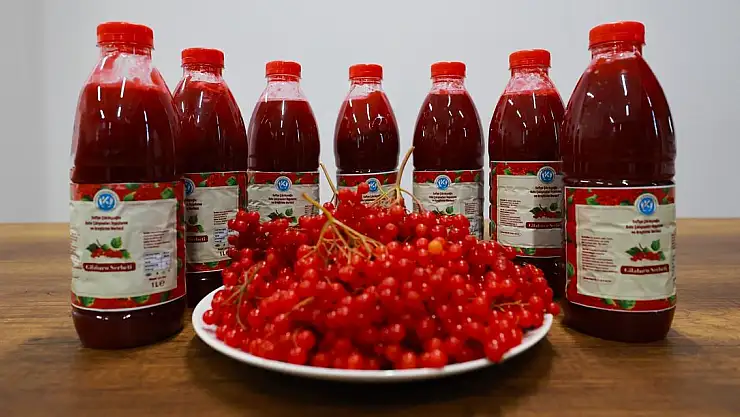 KAYÜ, GİLABURU ŞERBETİ İÇİN PATENT BAŞVURUSU YAPTI