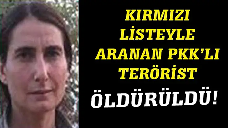 Kırmızı listeyle aranan PKK'lı terörist öldürüldü