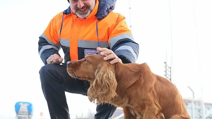 KOCASİNAN, SOKAK VE YABAN HAYVANLARINI UNUTMADI