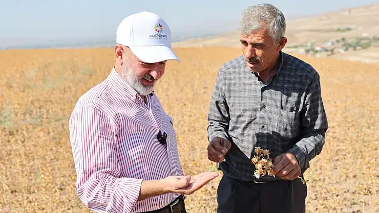 KOCASİNAN, ÜRETTİĞİ ASPİR YAĞINI İHTİYAÇ SAHİPLERİNE HEDİYE EDECEK!