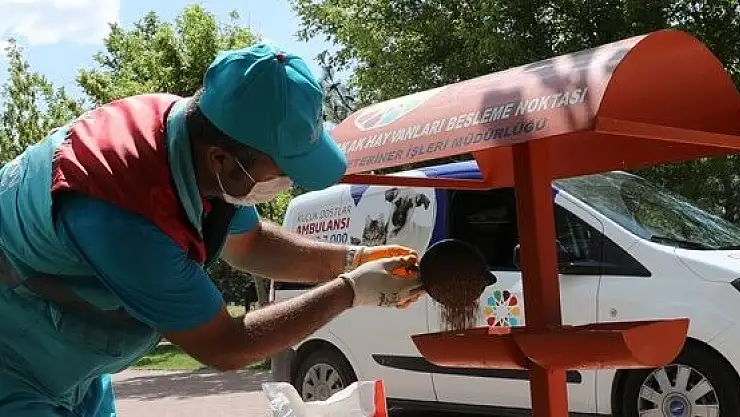 KOCASİNAN'DA HAYAT BÜTÜN CANLILAR İÇİN DEĞERLİ