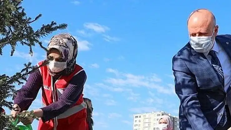 KOCASİNAN'DA HER YIL 100 BİN AĞAÇ TOPRAKLA BULUŞUYOR