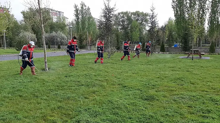 KOCASİNAN'DA, HUZURLU BİR YAZ İÇİN HAŞERE İLE MÜCADELE ARALIKSIZ SÜRÜYOR