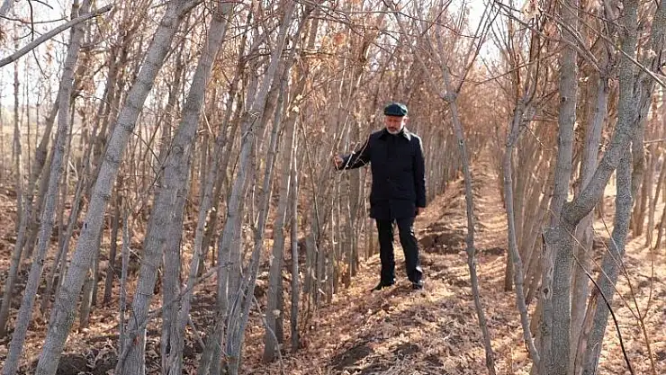 KOCASİNAN'DA KURU YAPRAKLAR, ORGANİK GÜBREYE DÖNÜŞÜYOR