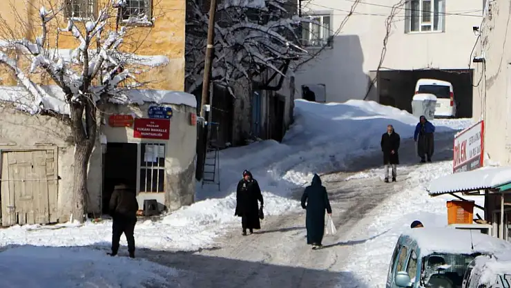 Köpek saldırısının yaşandığı ilçede vatandaşlar köpeklerin toplanmasını bekliyor