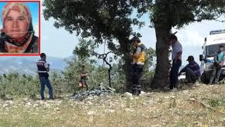 Korkunç Olay! 4 Çocuk Annesi Kadın Ormanlık Alanda Kendisini Astı