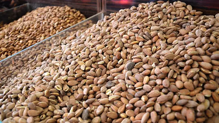 KORONAVİRÜS TEDAVİSİNDE KAYISI ÇEKİRDEĞİ DE BULUNUYOR