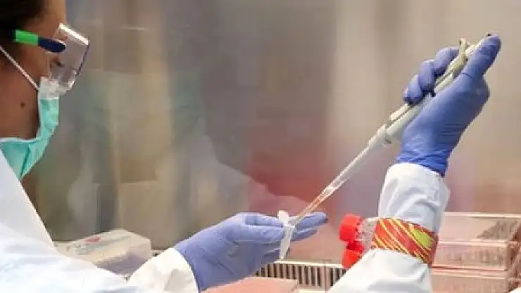 KORONAVİRÜSÜN BEKLENMEDİK BİR YARARI KEŞFEDİLDİ