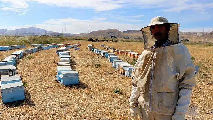 Kovanlarının yanına gelen arıcı şok oldu