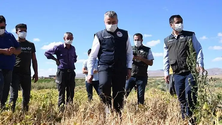 KULLANILMAYAN TARIM ARAZİLERİ ÇİFTÇİNİN YÜZÜNÜ GÜLDÜRÜYOR