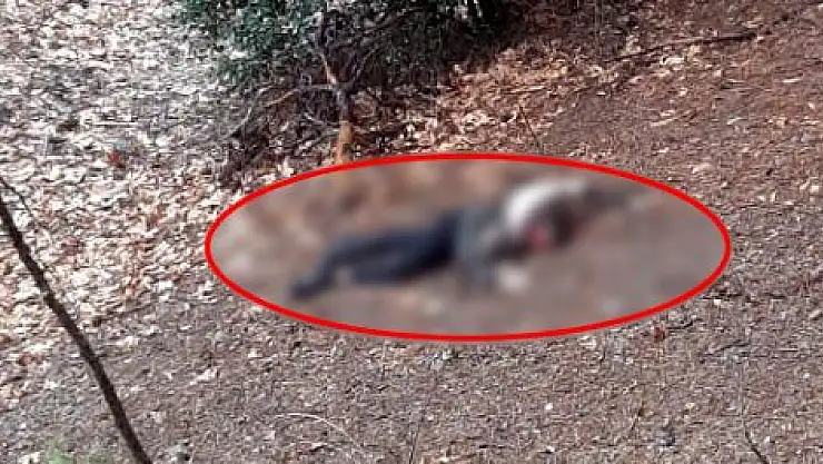 KUMA OLMAK İSTEMEYEN KADINI UÇURUMDAN ATIP, BAŞINI TAŞLA EZDİ