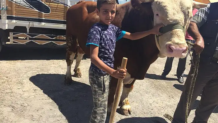 Kurban pazarının 'Kralı'