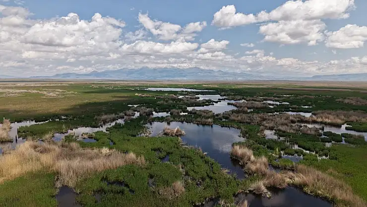 KUŞ CENNETİ SULTAN SAZLIĞI'NA 'BÜYÜKŞEHİR' ELİ