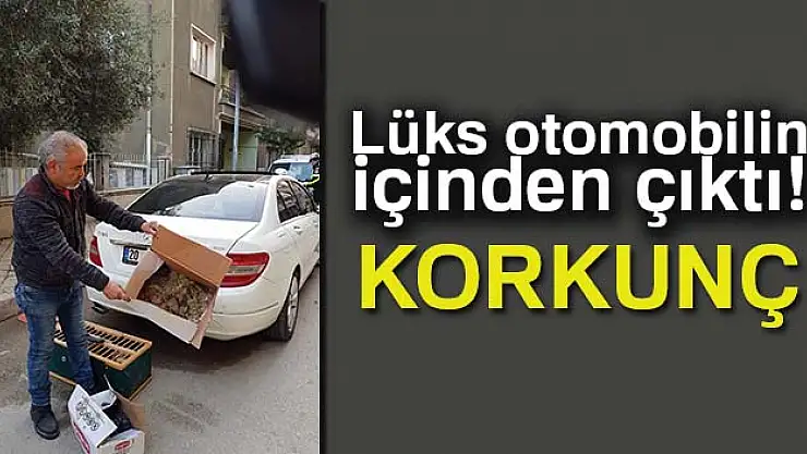 LÜKS OTOMOBİLDEN ÇIKANLAR ŞOKE ETTİ!