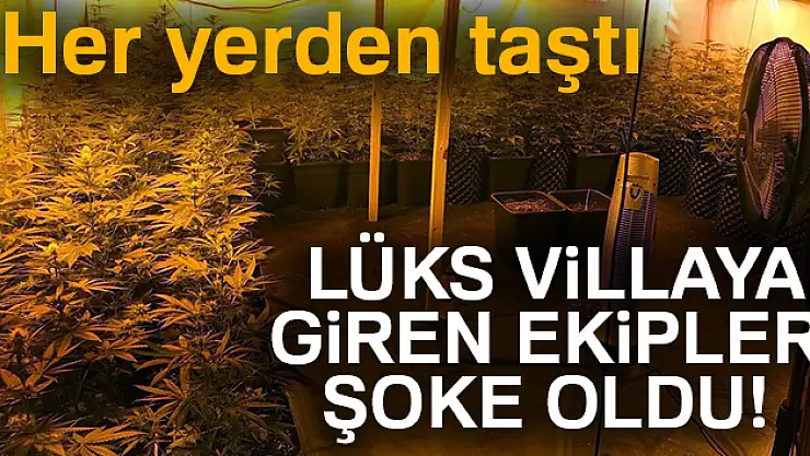 Lüks villaya giren jandarma gözlerine inanamadı