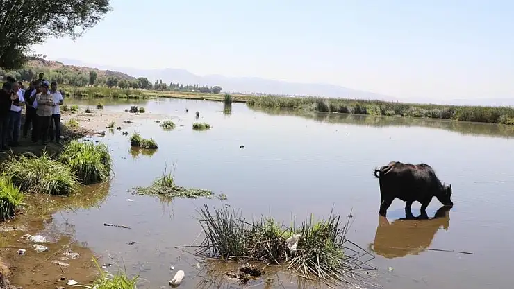 'MADE İN KAYSERİ' ETİKETİYLE MANDA ÜRÜNLERİNE GLOBAL VİZYON