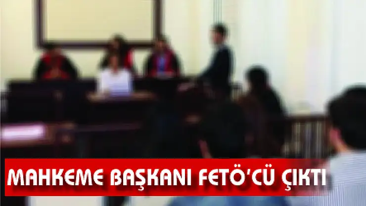 Mahkeme başkanı FETÖ'cü çıktı