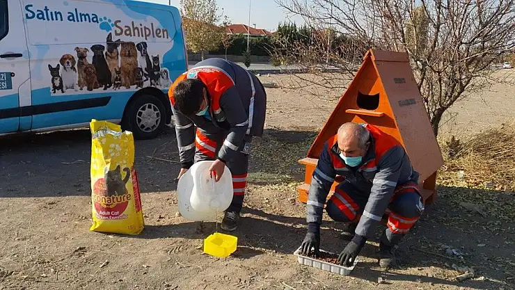 MELİKGAZİ BELEDİYESİ YASAKTA SOKAK HAYVANLARINI UNUTMADI