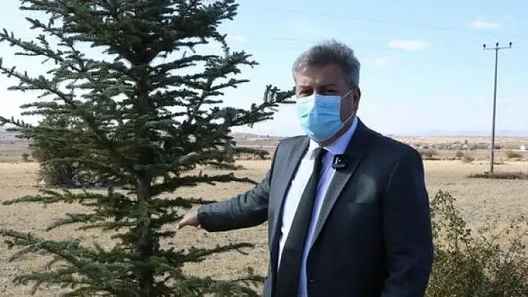 MELİKGAZİ'DE DİKİLEN YENİ AĞAÇLAR GELECEĞE NEFES OLACAK