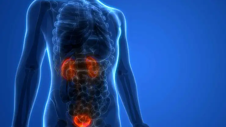 Mesane kanserinde en önemli belirti: İdrarda kanama