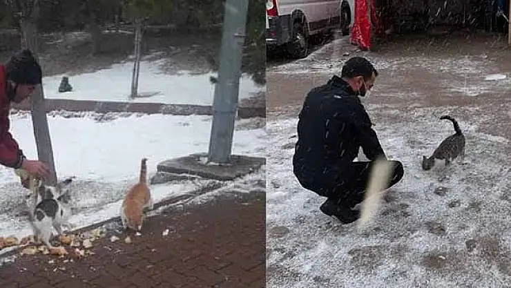 MHP KOCASİNAN SOKAK HAYVANLARINI UNUTMADI