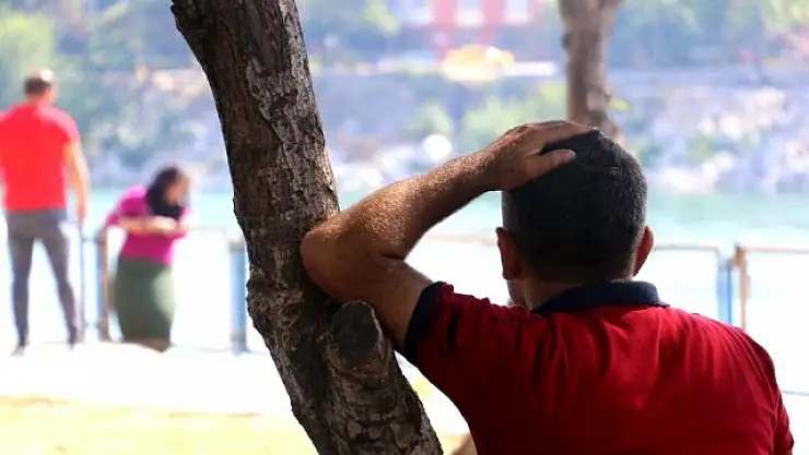 Miras için ölmek isteyen karısını ağaca yaslanarak izledi!