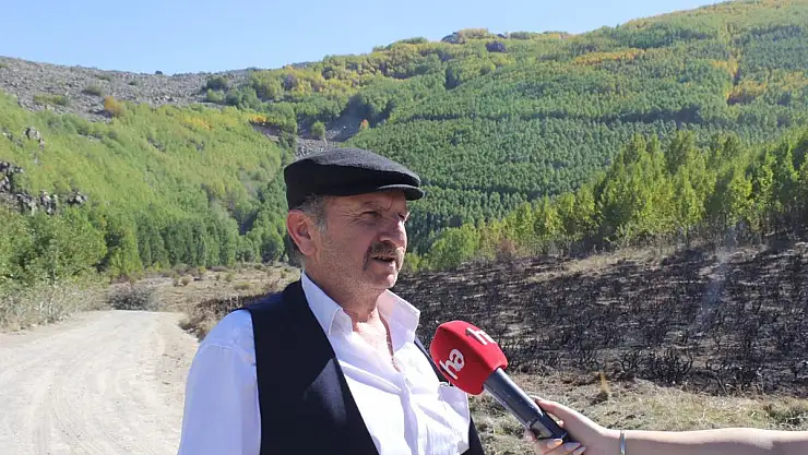 ORTASEKİ ORMANLARI'NA YOL, SU VE GÜVENLİK TALEP EDİLİYOR