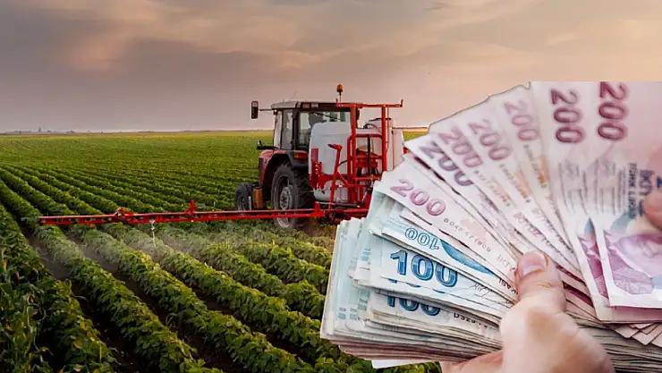 Patates, soğan ve yem bitkileri üretiminde yeni destekler açıklandı