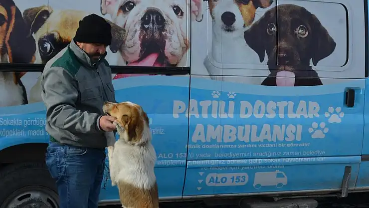 PATİLİ DOSTLAR AMBULANSI BÜNYAN'DA YOLLARDA