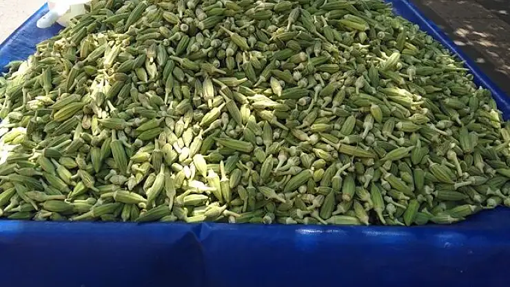 PAZAR TEZGAHLARININ EN PAHALI ÜRÜNÜ BAMYA OLDU