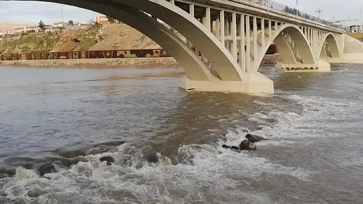 PSİKOLOJİK SORUNU OLAN BABA 3 YAŞINDAKİ OĞLUNU NEHRE ATTI