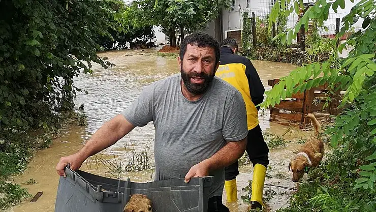 SELDE SOKAK HAYVANLARI BOĞULMAKTAN BÖYLE KURTARILDI