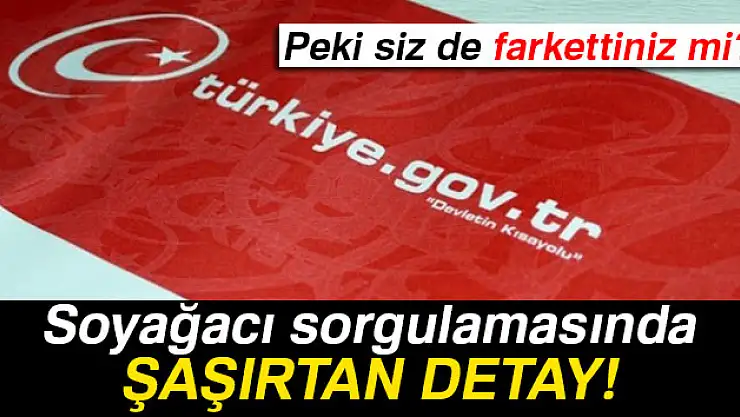 Soyağacı sorgulamasında şaşırtan detay