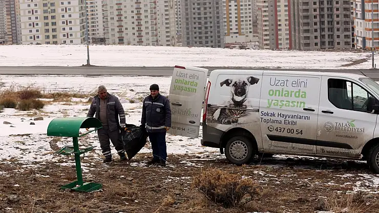 Talas Belediyesi yaban ve sokak hayvanlarını unutmadı