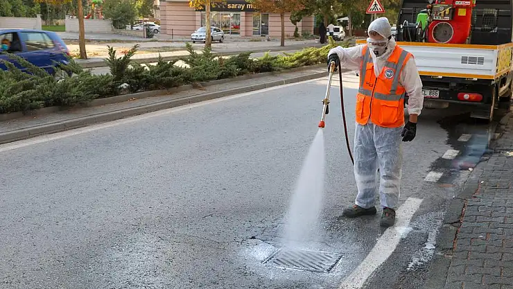 TALAS'TA HAŞERATA ERKEN ÖNLEM