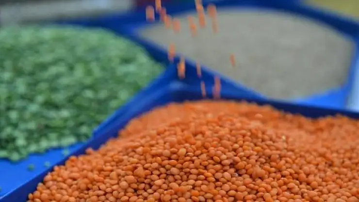 Tanzim Satışta Bakliyat Fiyatları Belli Oldu