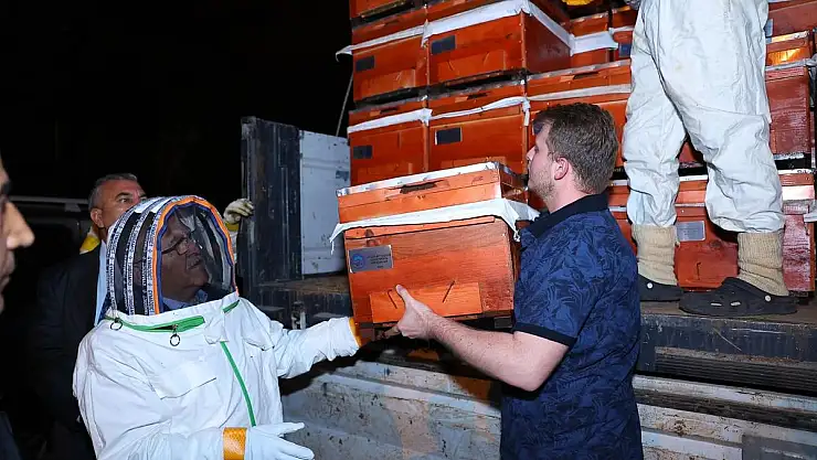 TESCİLLİ BAL ÜRETİCİLERİNE DAMIZLIK ANA ARI DESTEĞİ VERİLDİ