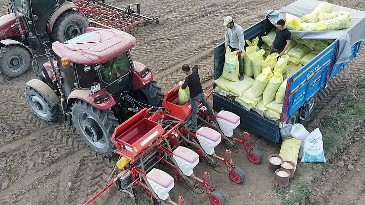 TOMARZA İLÇESİNDE KABAK ÇEKİRDEĞİ EKİMİ BAŞLADI