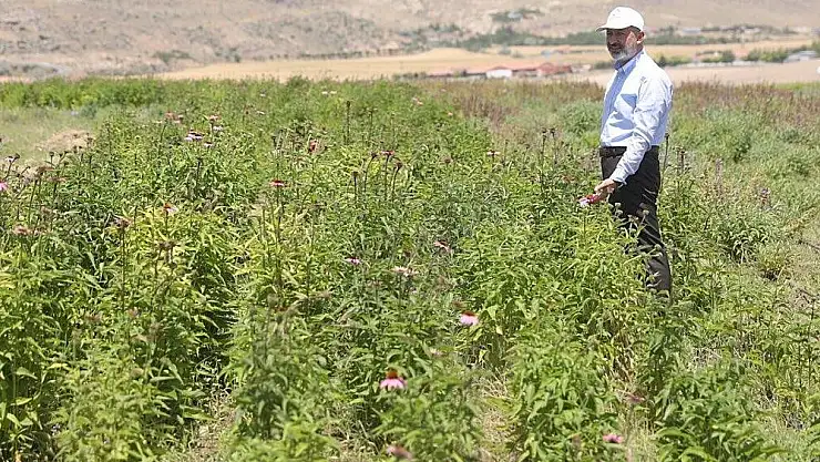 TÜRKİYE'NİN EN KAPSAMLI FİDANLIĞI KOCASİNAN'DA