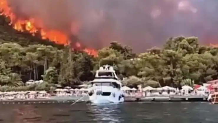 TÜRKİYE'NİN GÜNEYİ YANIYOR! BODRUM VE DİDİM'DE DE YANGIN ÇIKTI