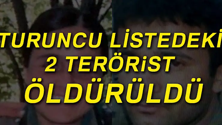 Turuncu listedeki 2 terörist öldürüldü