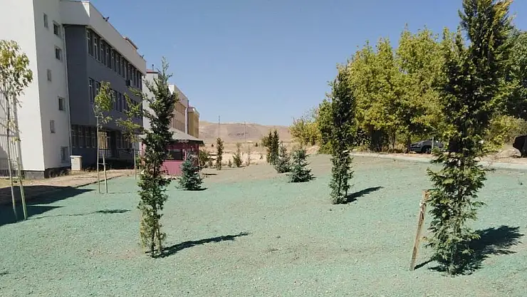 ÜNİVERSİTE BAHÇESİ'NE BÜYÜKŞEHİR DOKUNUŞU