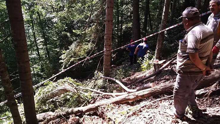 ÜZERİNE AĞAÇ DEVRİLDİ, HAYATINI KAYBETİ