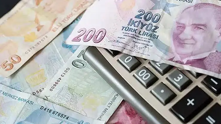 VATANDAŞLIK MAAŞI UYGULAMASI BAŞLIYOR