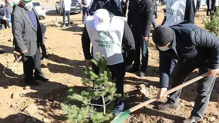 YAHYALI'DA 5 BİN FİDAN TOPRAKLA BULUŞTU