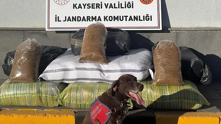 YOLCU OTOBÜSÜNDE 230 KİLOGRAM BANDROLSÜZ TÜTÜN ELE GEÇİRİLDİ